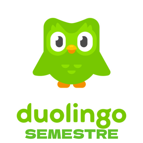 Duolingo6Meses